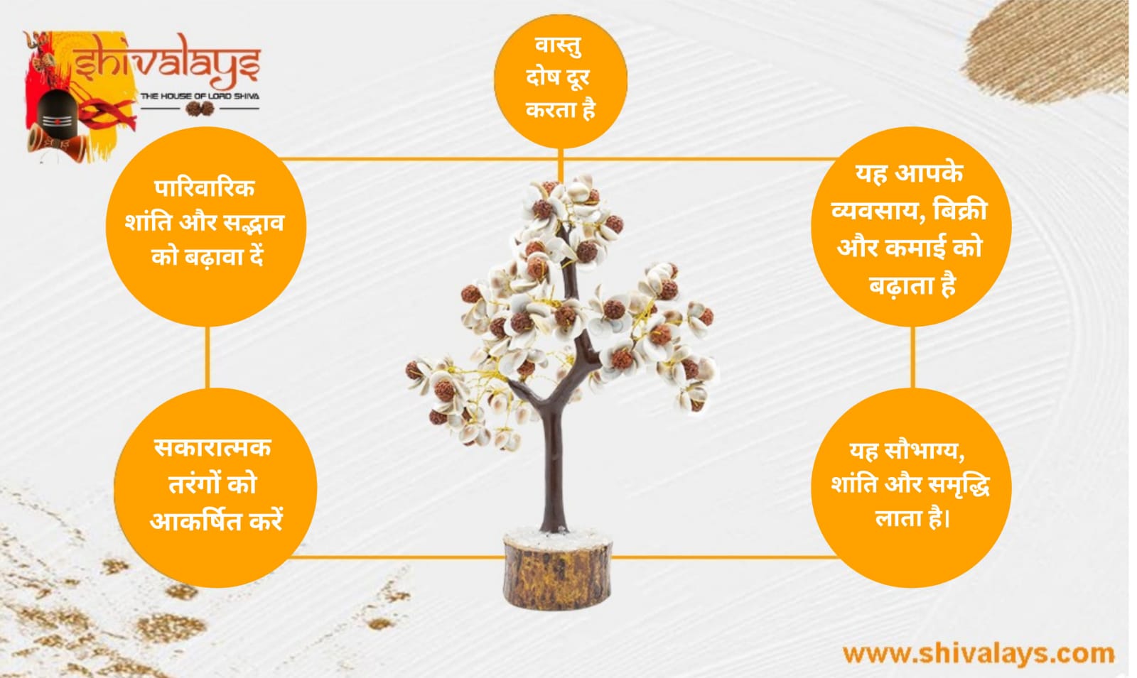 Energised Gomati Chakra Tree, Gomti Chakra Tree