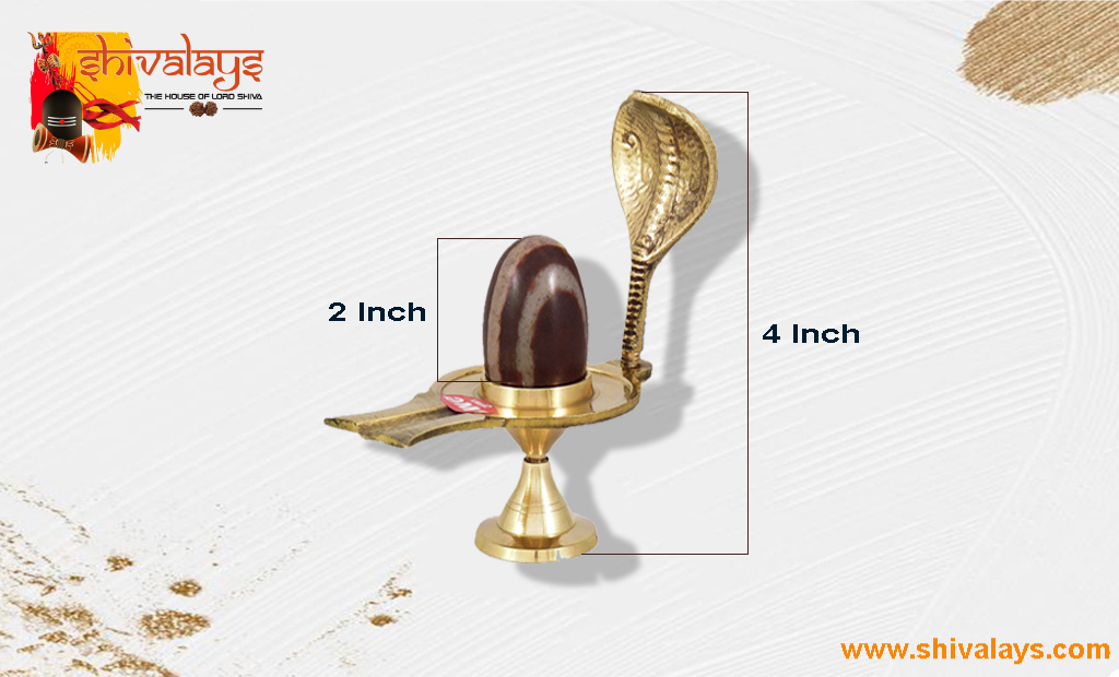 narmadeshwar shivling with brass yoni for home and office